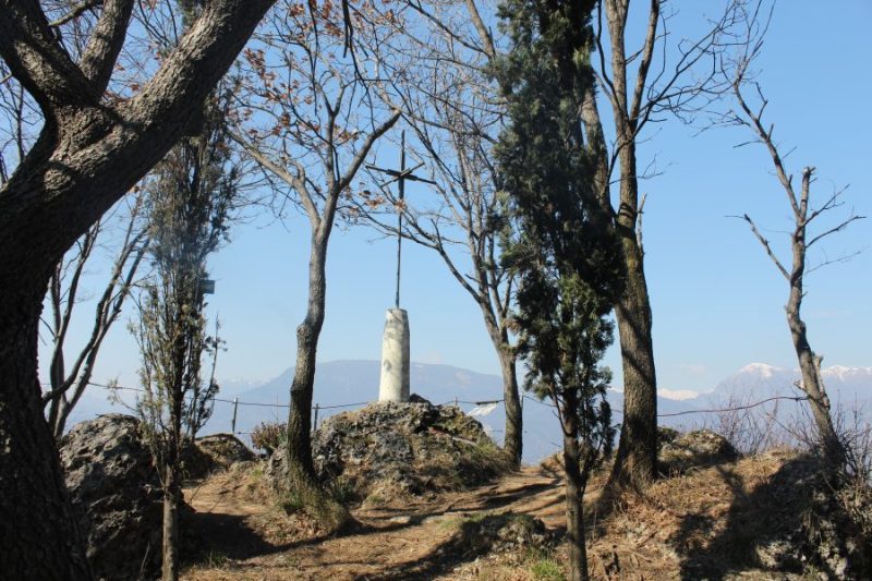 Monte Ragogna
